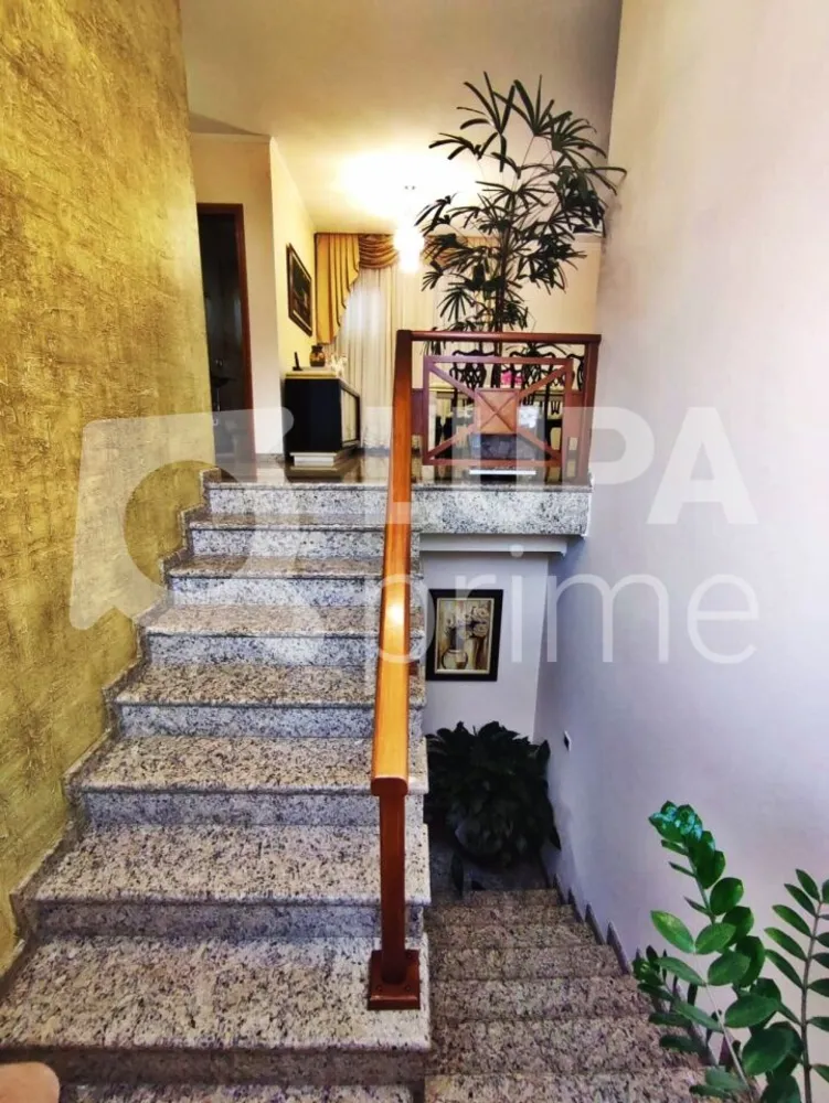 Casa, 3 quartos, 290 m² - Foto 3