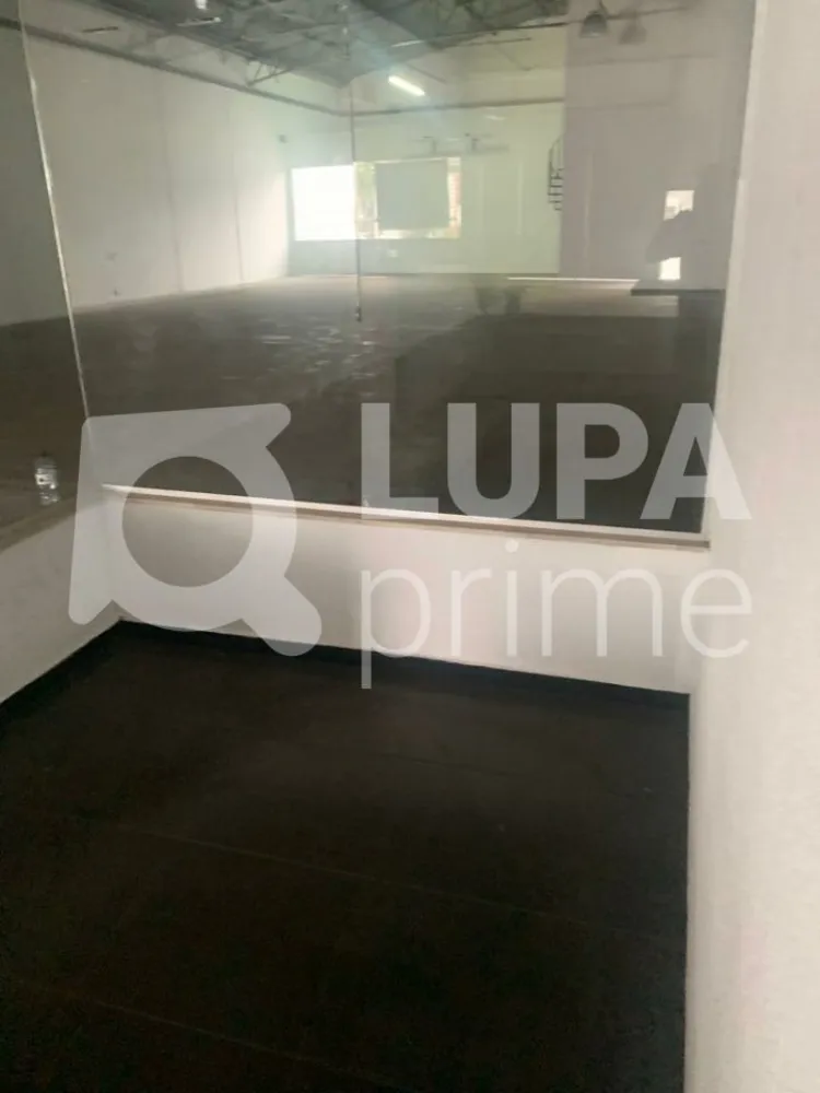 Terreno, 1539 m² - Foto 4