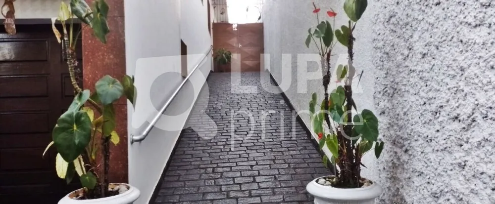 Casa, 4 quartos, 196 m² - Foto 11