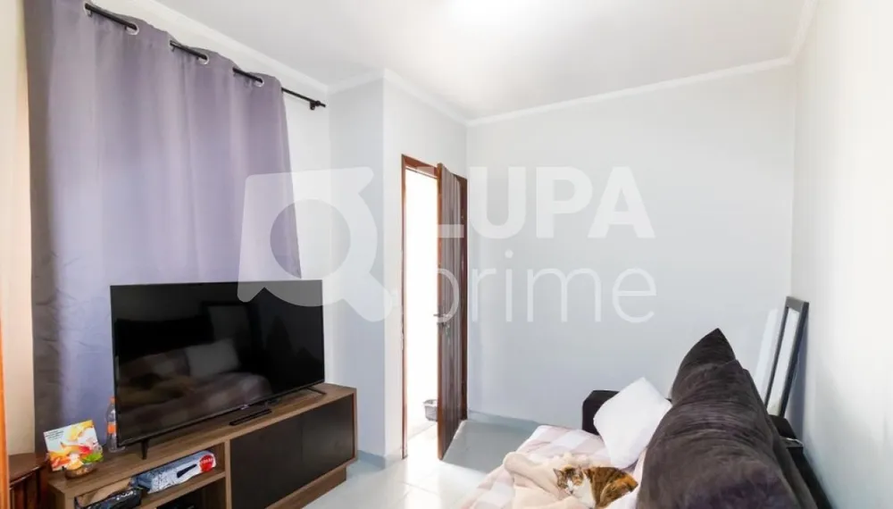 Casa, 3 quartos, 250 m² - Foto 3