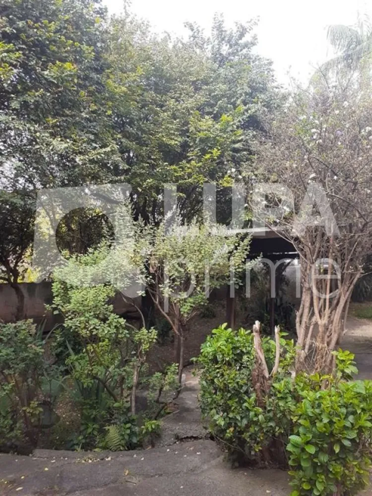 Terreno, 524 m² - Foto 13