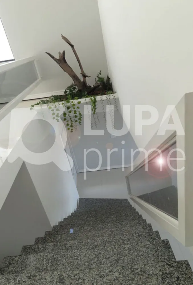 Casa, 3 quartos, 288 m² - Foto 11