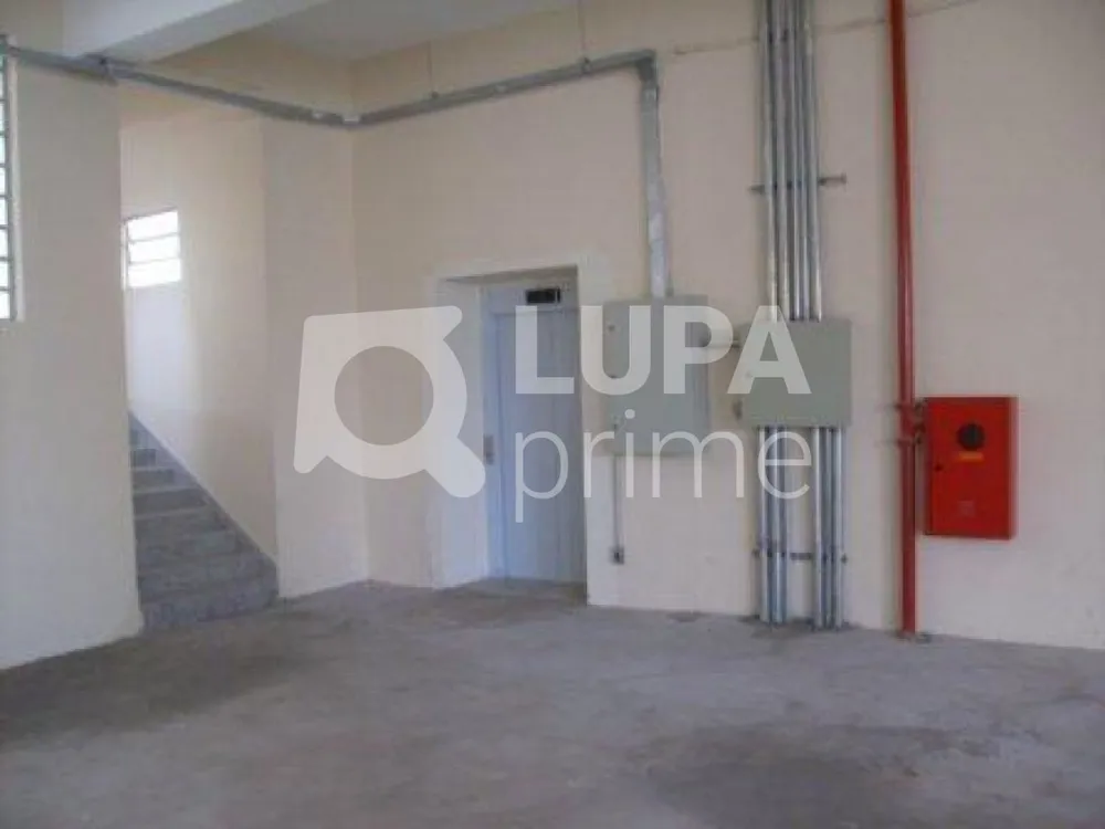 Prédio Inteiro, 6000 m² - Foto 12