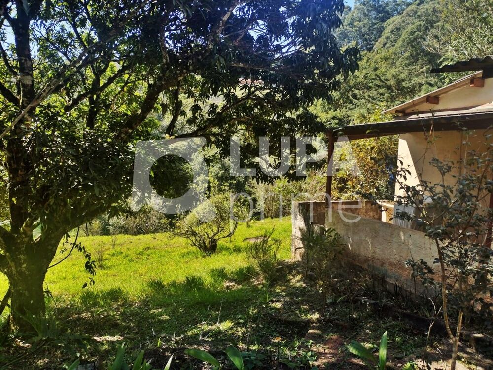 Terreno, 5000 m² - Foto 3