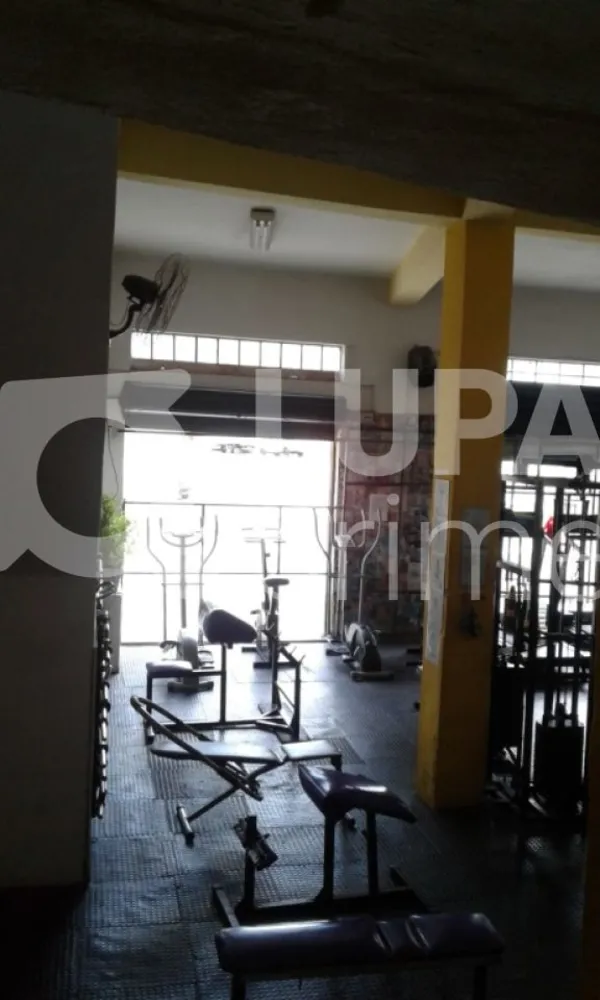 Casa, 6 quartos, 300 m² - Foto 10