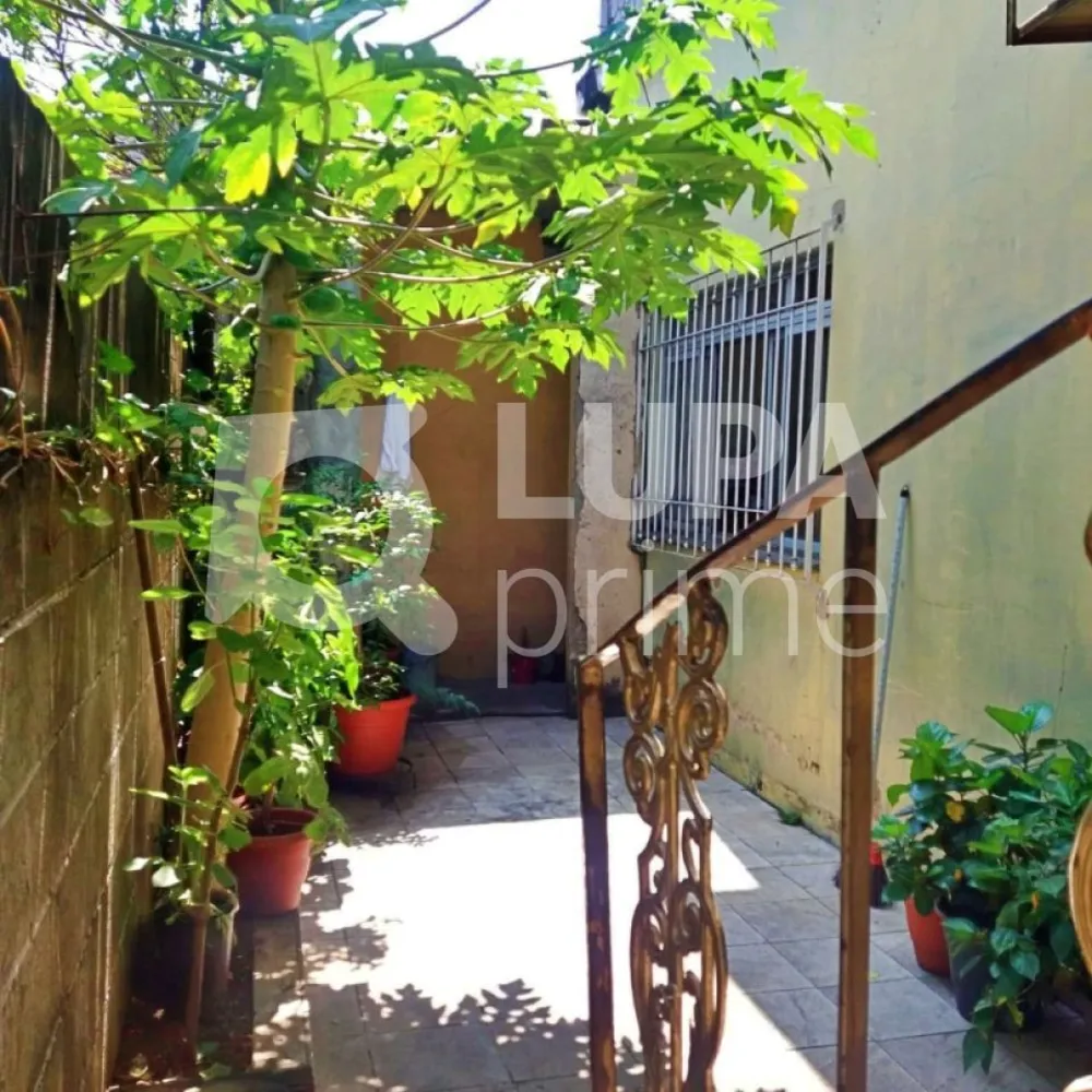 Casa, 5 quartos, 292 m² - Foto 11