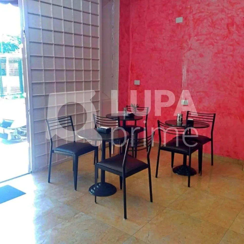 Casa, 5 quartos, 292 m² - Foto 7