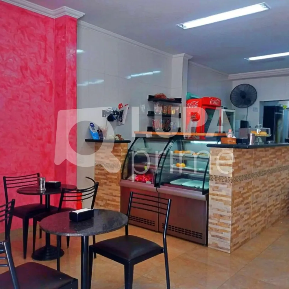 Casa, 5 quartos, 292 m² - Foto 12