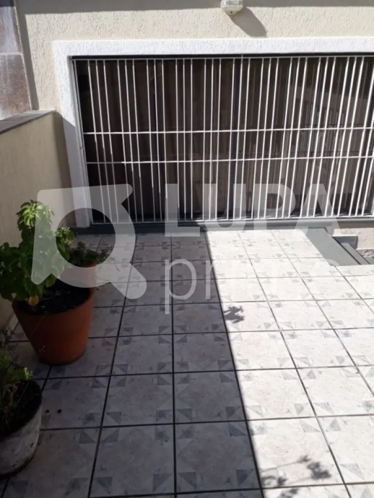 Casa, 3 quartos, 165 m² - Foto 11