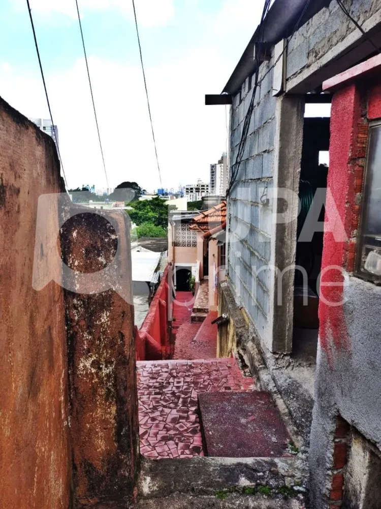 Casa, 6 quartos, 300 m² - Foto 3