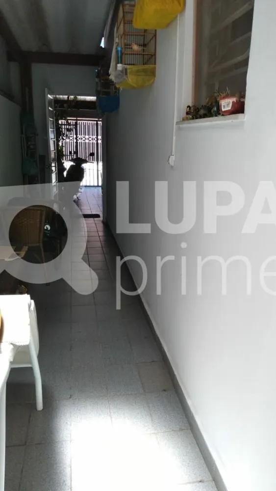 Casa, 3 quartos, 280 m² - Foto 12