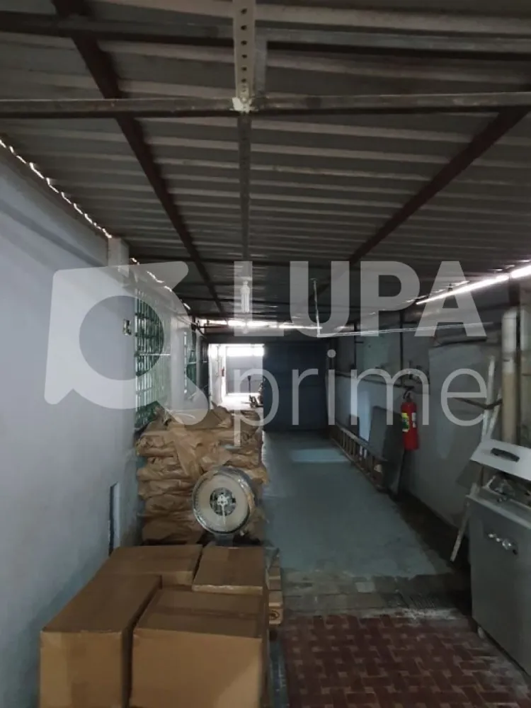 Casa, 2 quartos, 400 m² - Foto 5