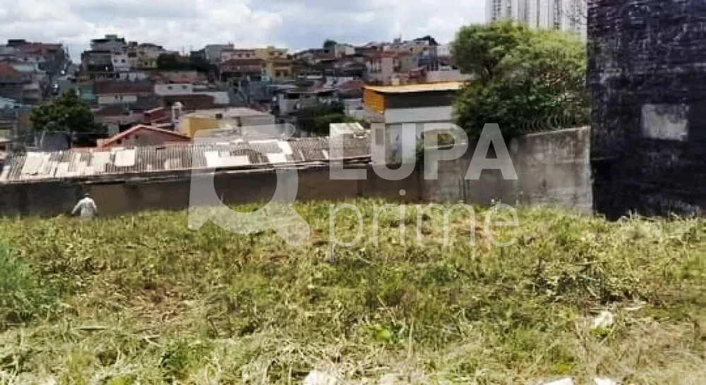 Terreno, 1305 m² - Foto 6