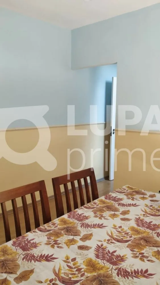 Casa, 3 quartos, 170 m² - Foto 13