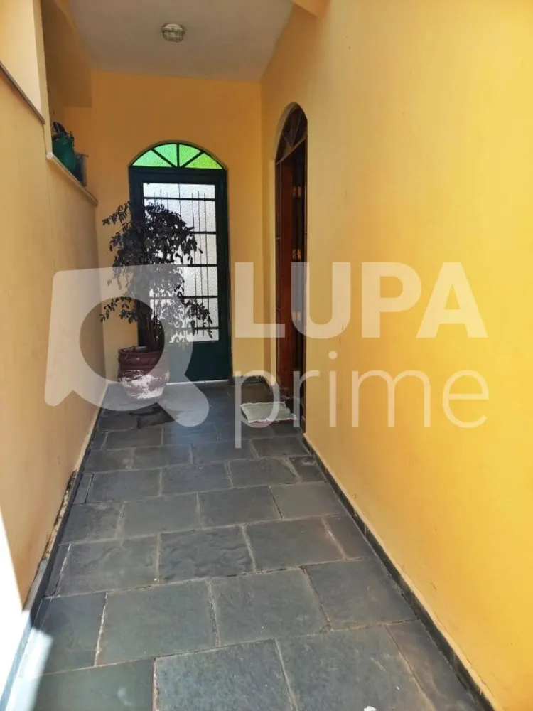 Casa, 3 quartos, 350 m² - Foto 6