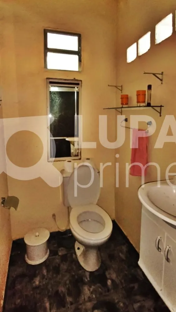 Chácara, 3 quartos, 4233 m² - Foto 9