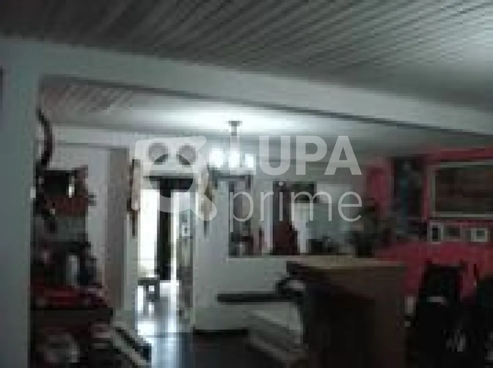Casa, 3 quartos, 310 m² - Foto 10