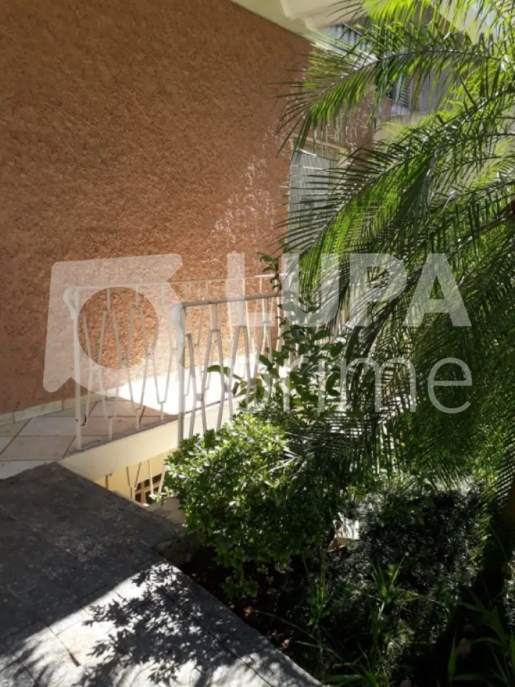 Casa, 4 quartos, 194 m² - Foto 12