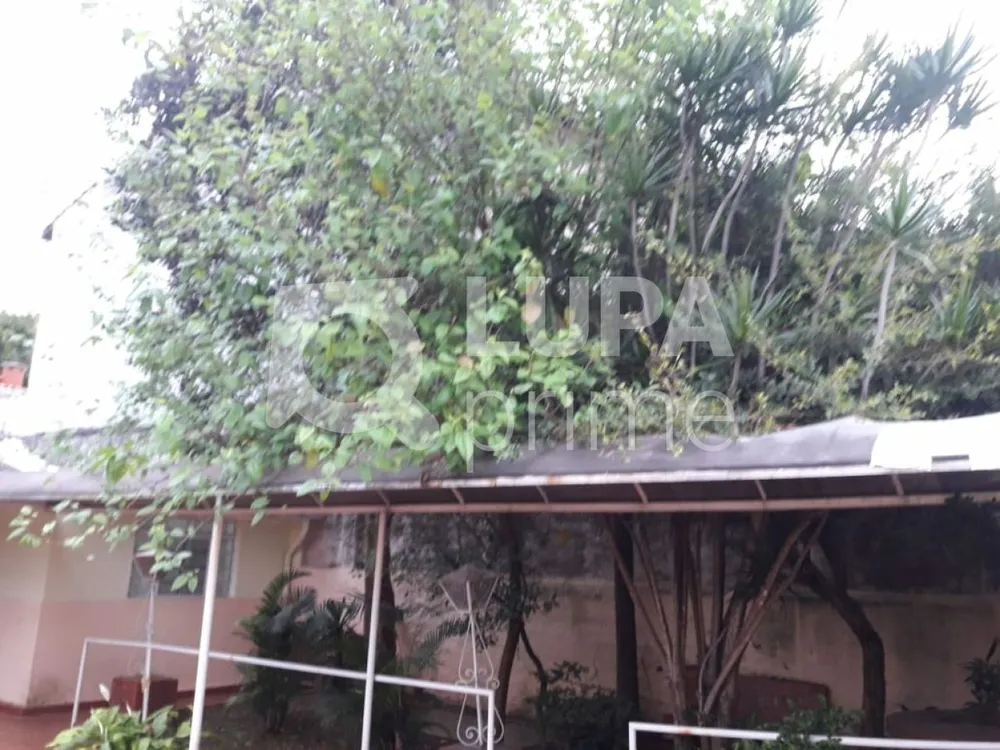 Casa, 8 quartos, 350 m² - Foto 11