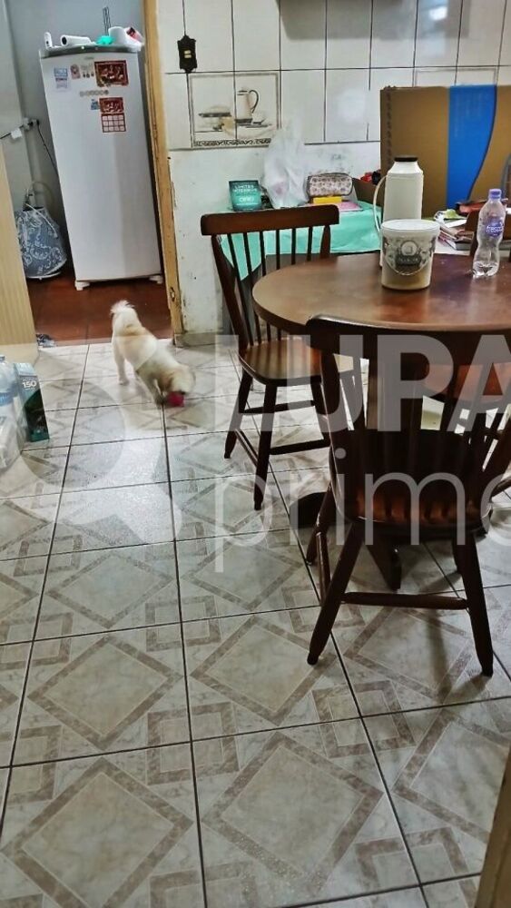 Casa, 5 quartos, 145 m² - Foto 3