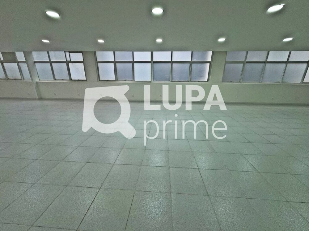Sala-Conjunto, 195 m² - Foto 3