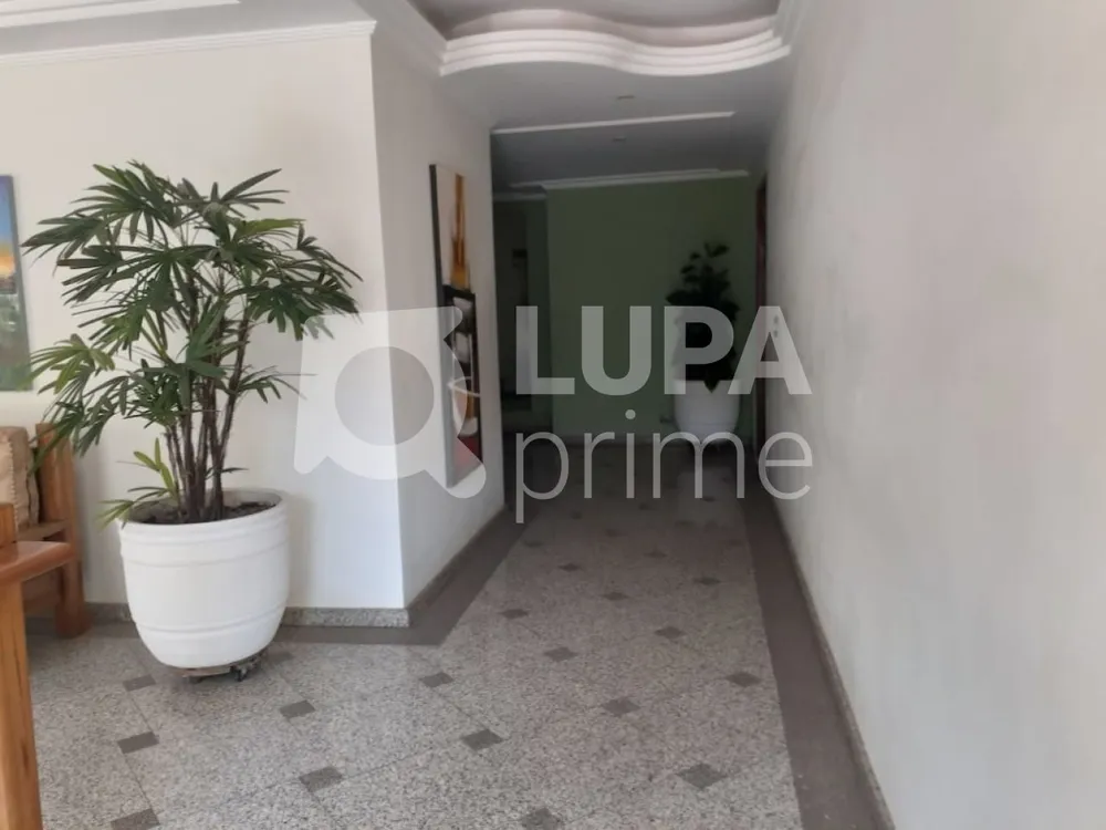 Apartamento, 3 quartos, 78 m² - Foto 9