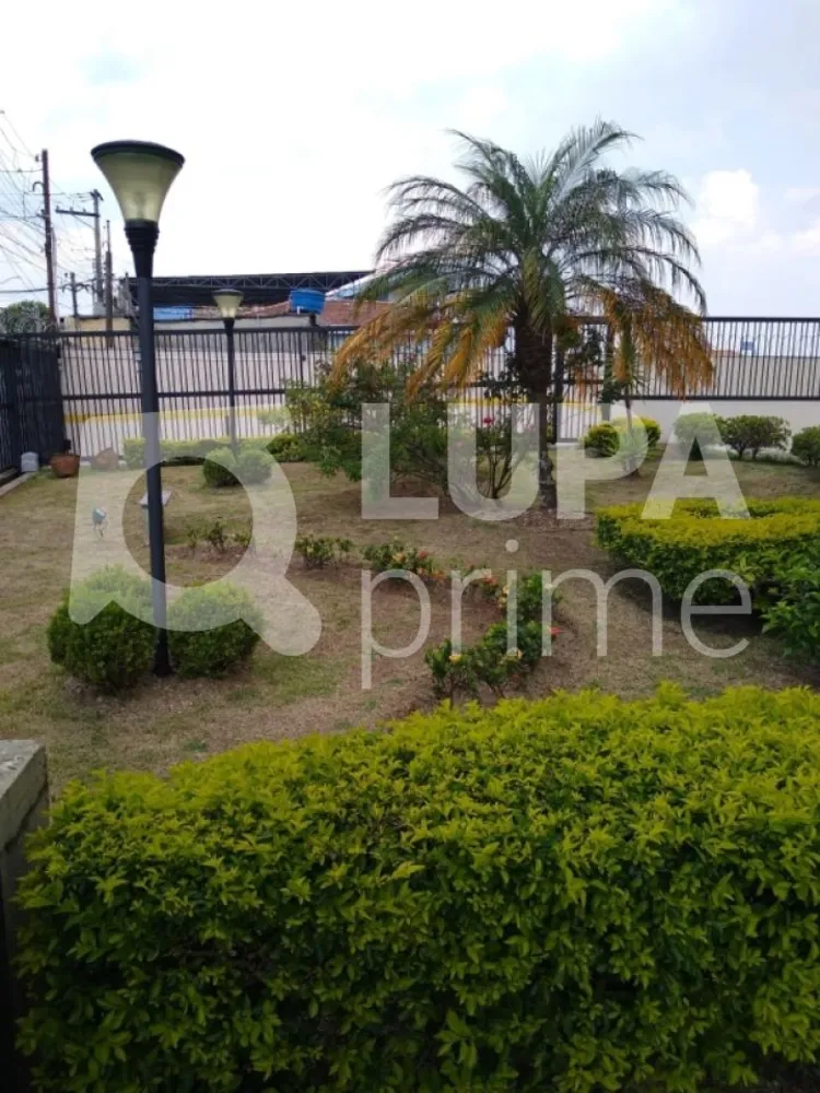 Apartamento, 3 quartos, 78 m² - Foto 2
