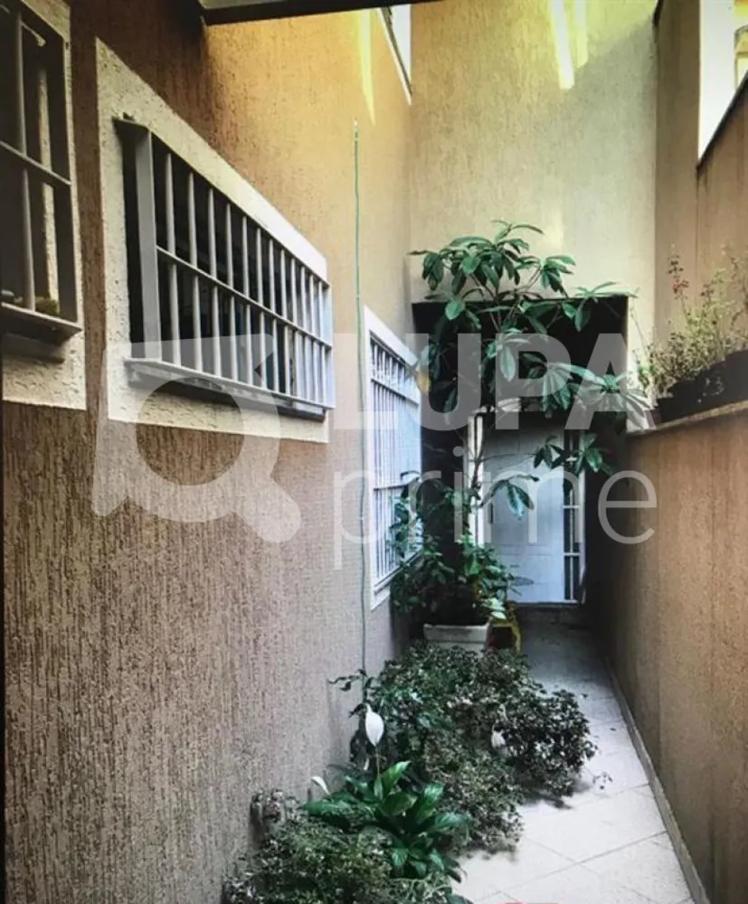 Casa, 3 quartos, 250 m² - Foto 12