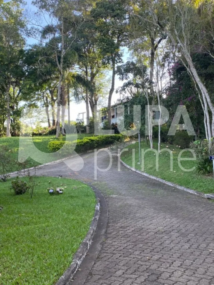 Casa, 4 quartos, 800 m² - Foto 8