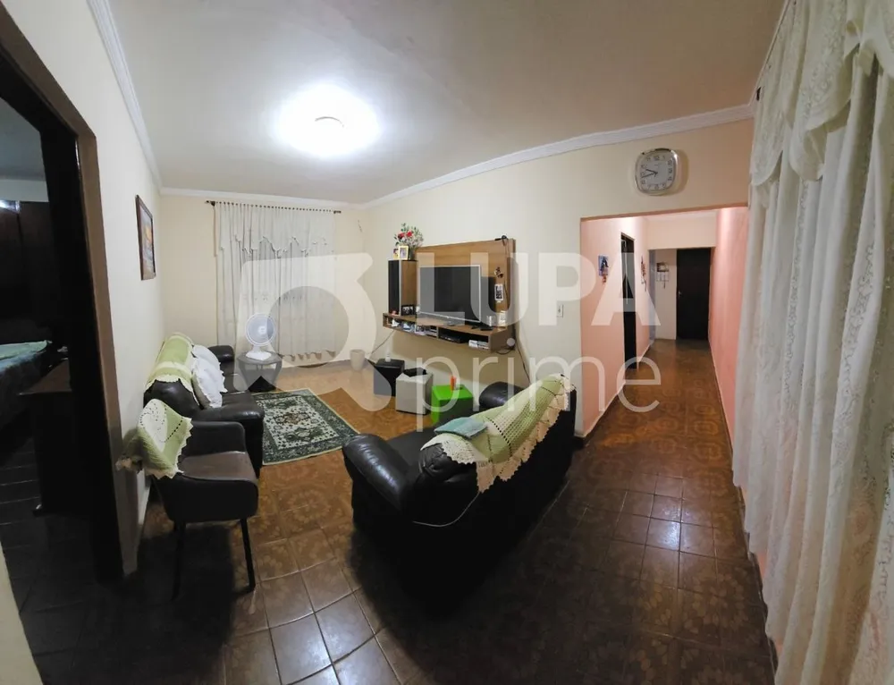 Casa, 4 quartos, 250 m² - Foto 10