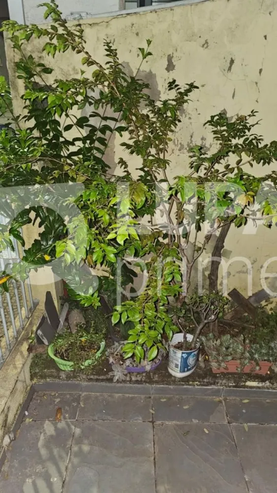 Casa, 4 quartos, 250 m² - Foto 12