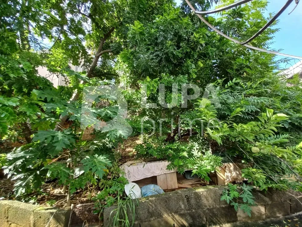 Casa, 3 quartos, 400 m² - Foto 13