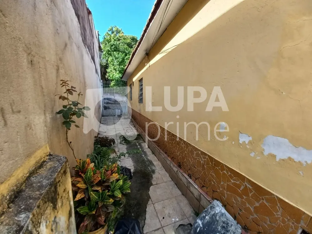 Casa, 3 quartos, 400 m² - Foto 10