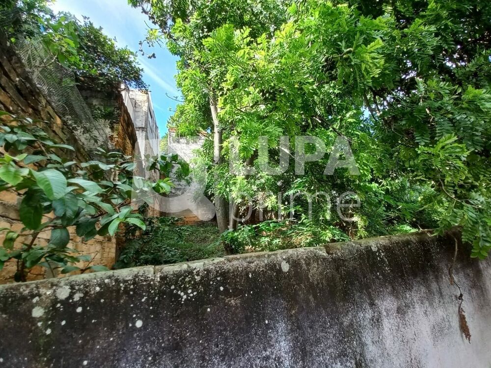 Casa, 3 quartos, 400 m² - Foto 2