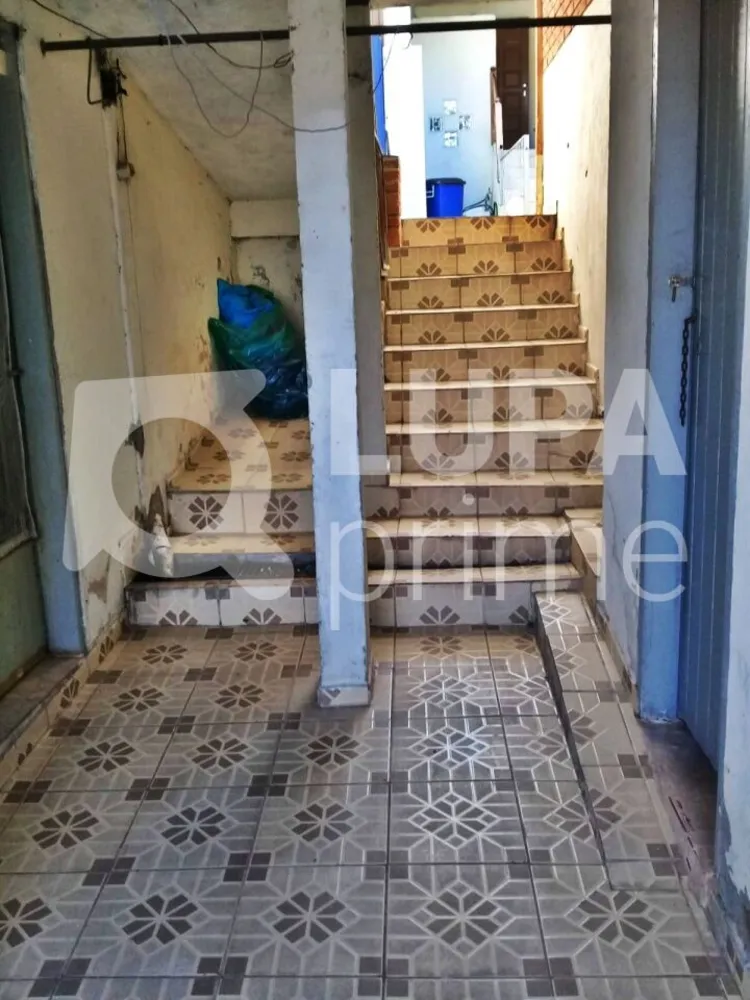 Casa, 4 quartos, 105 m² - Foto 6