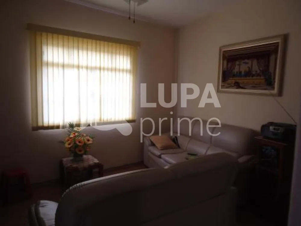 Casa, 3 quartos, 350 m² - Foto 7