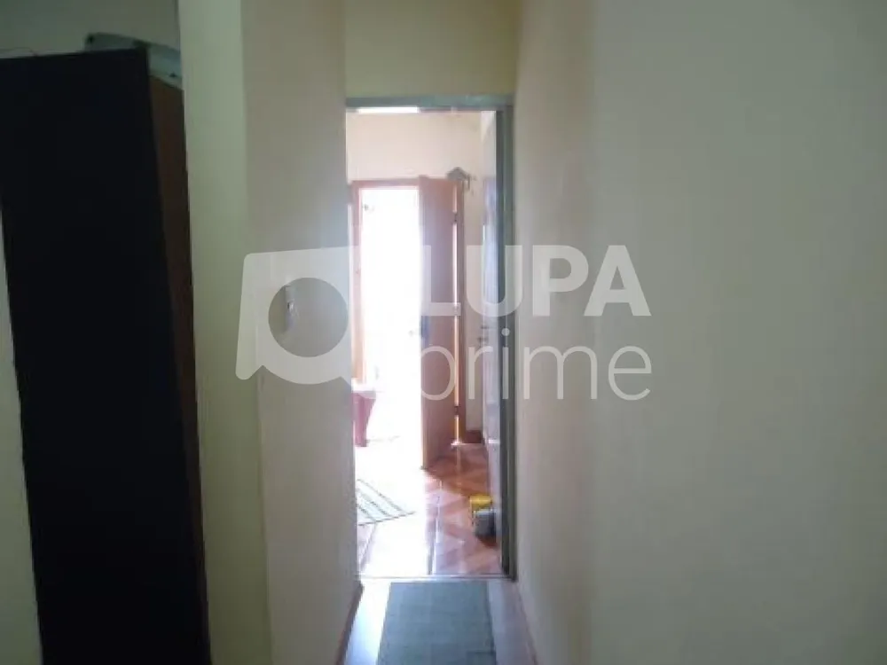 Casa, 3 quartos, 350 m² - Foto 13