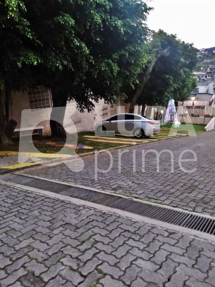 Casa, 5 quartos, 177 m² - Foto 19