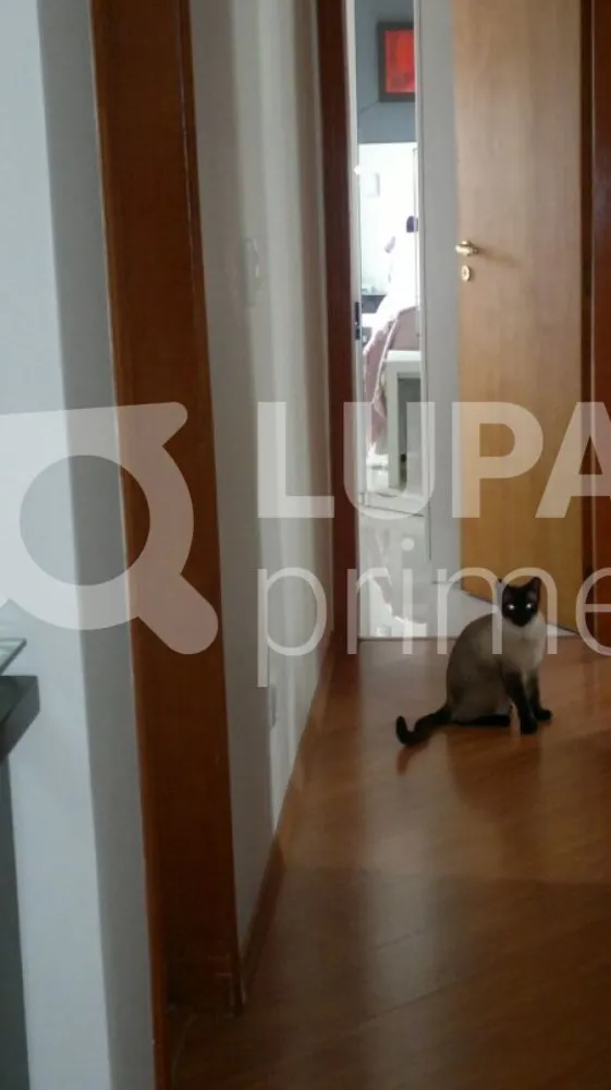 Apartamento, 3 quartos, 100 m² - Foto 11