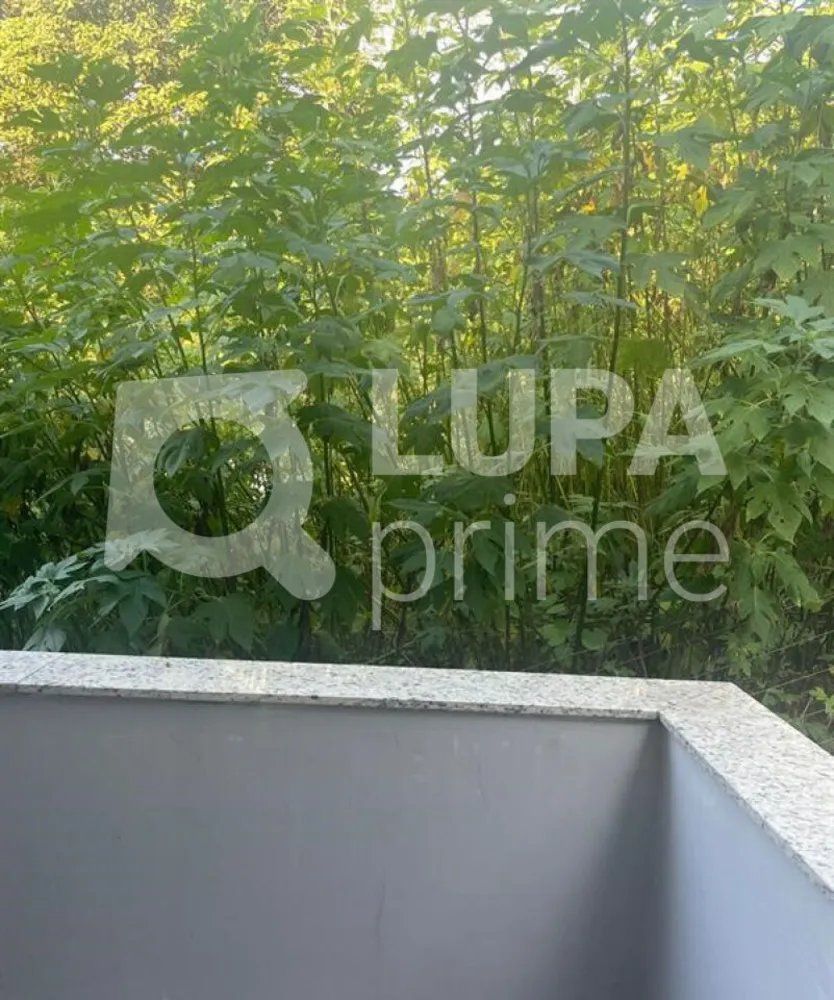 Casa, 4 quartos, 210 m² - Foto 10