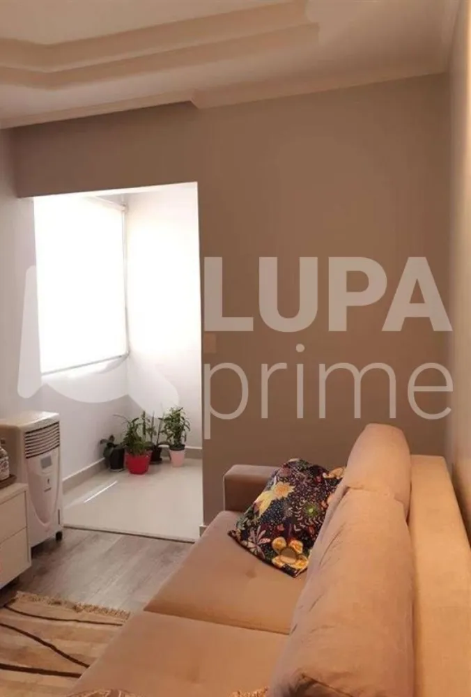Apartamento, 2 quartos, 50 m² - Foto 11