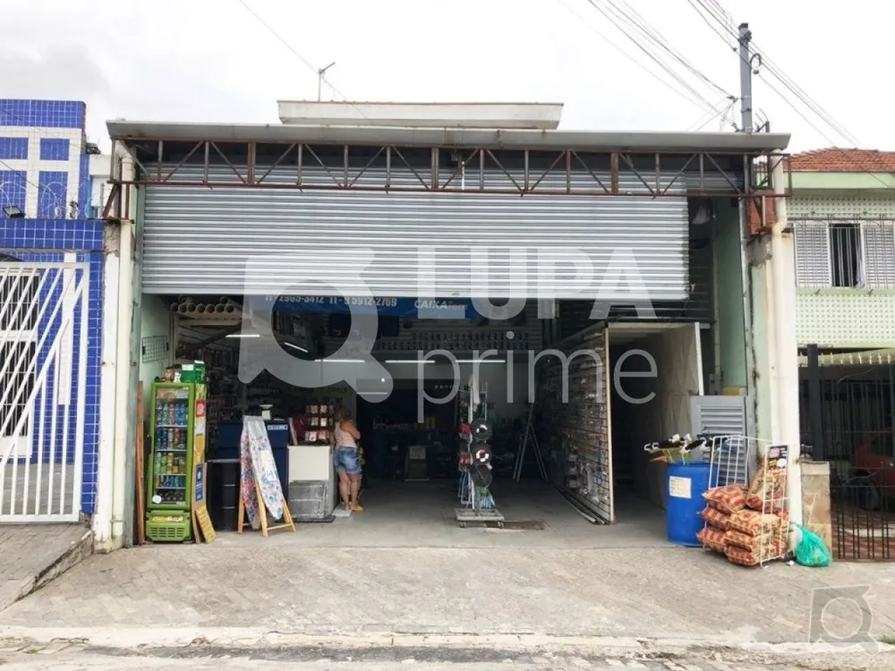 Casa, 4 quartos, 250 m² - Foto 6