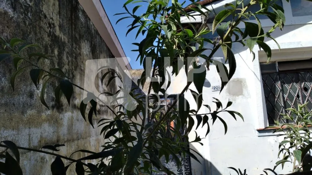 Terreno, 315 m² - Foto 2