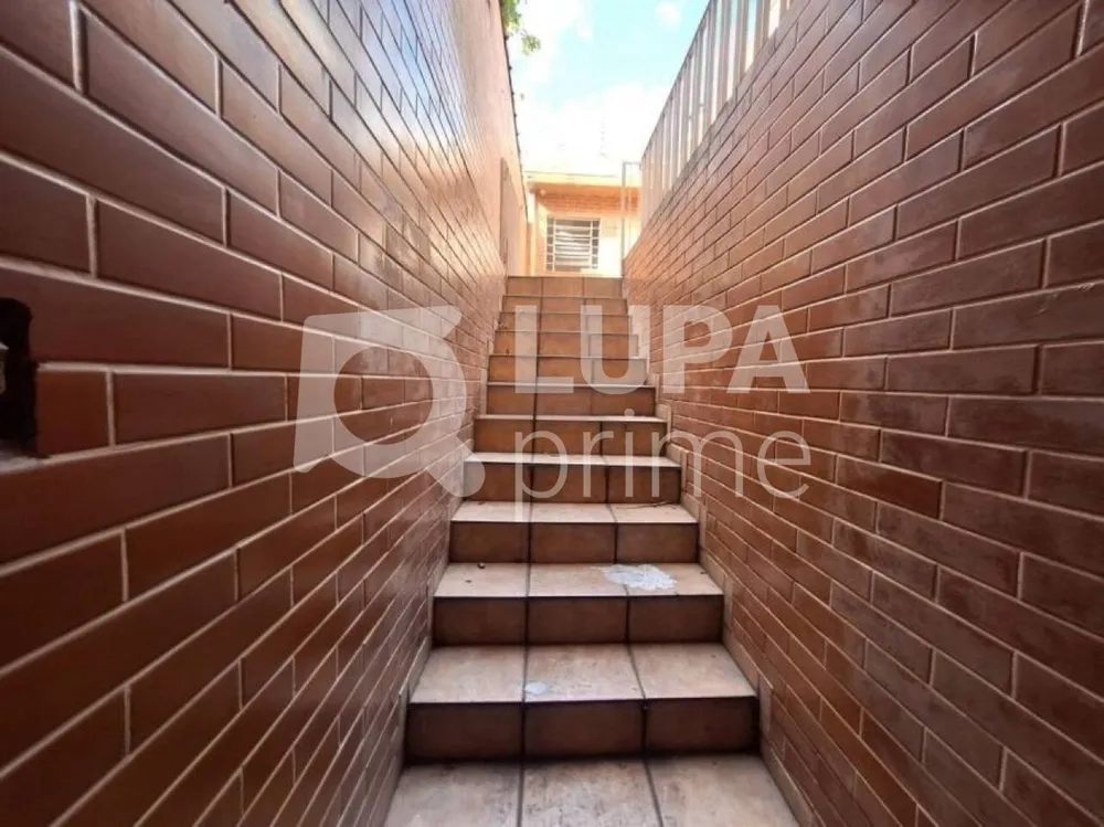 Casa, 3 quartos, 123 m² - Foto 10