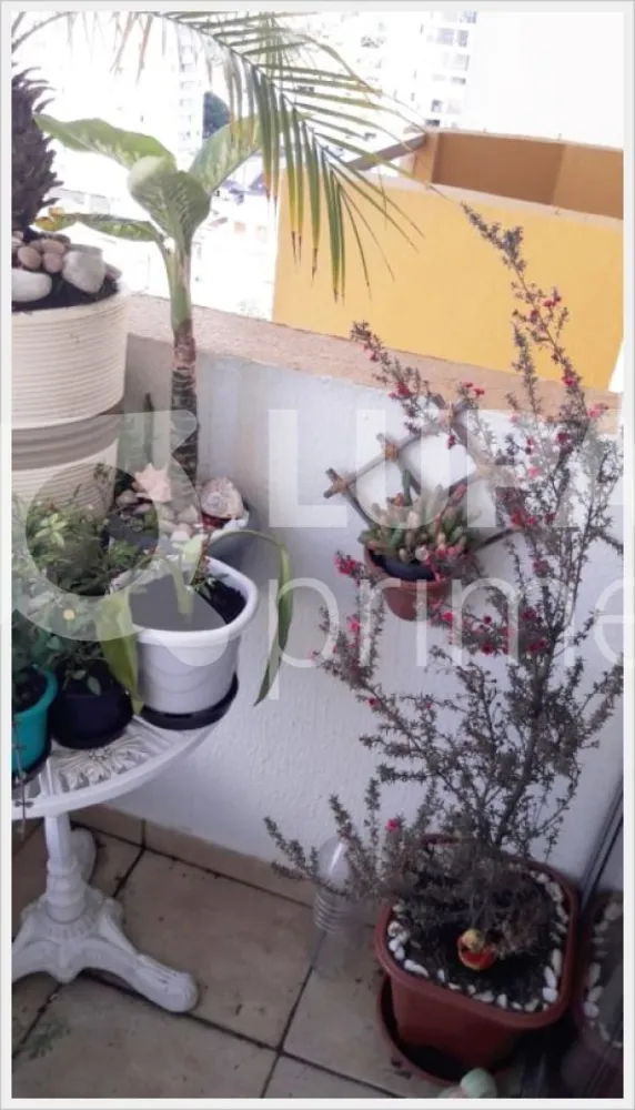 Apartamento, 2 quartos, 67 m² - Foto 2