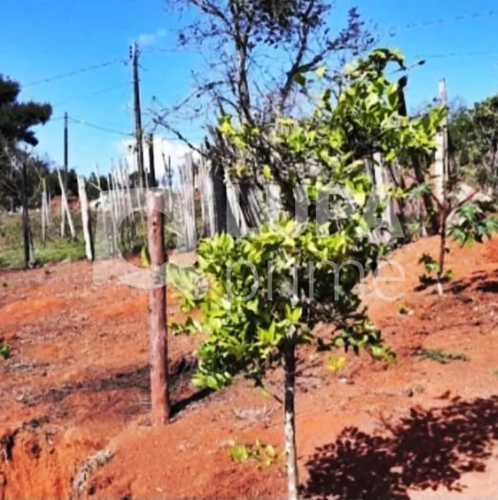 Terreno, 200 m² - Foto 1