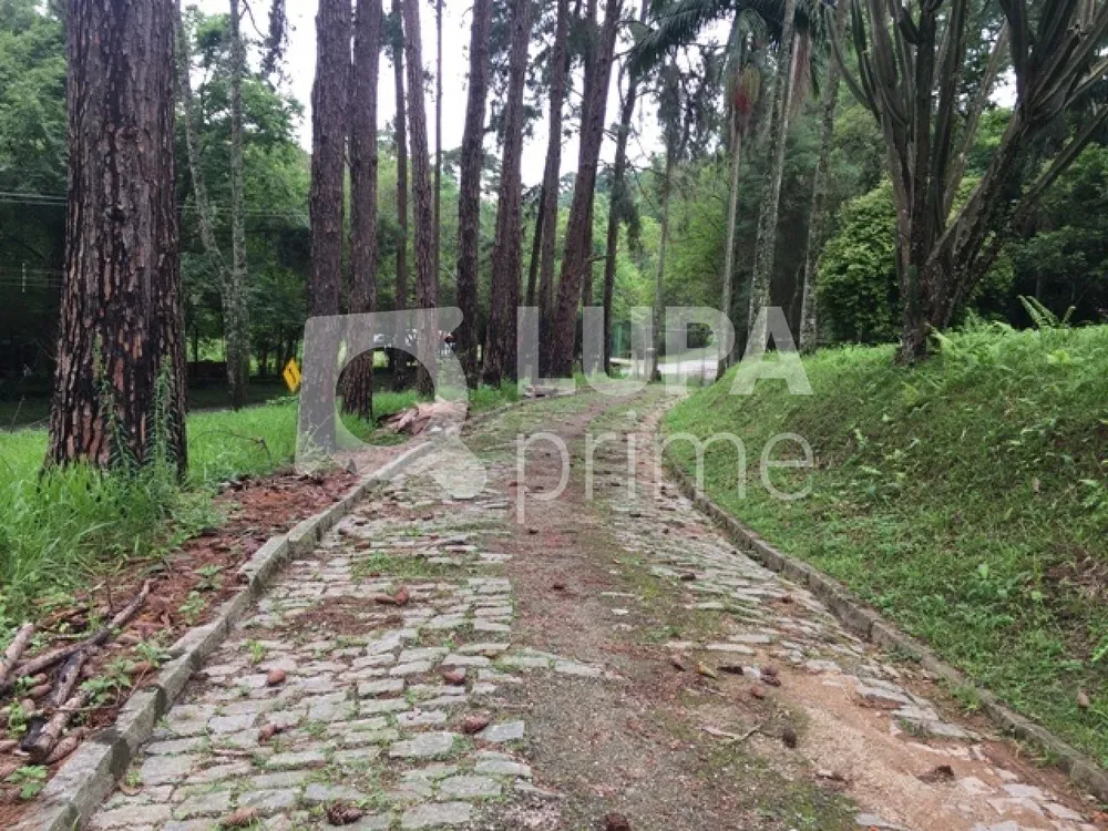 Terreno, 20 hectares - Foto 7