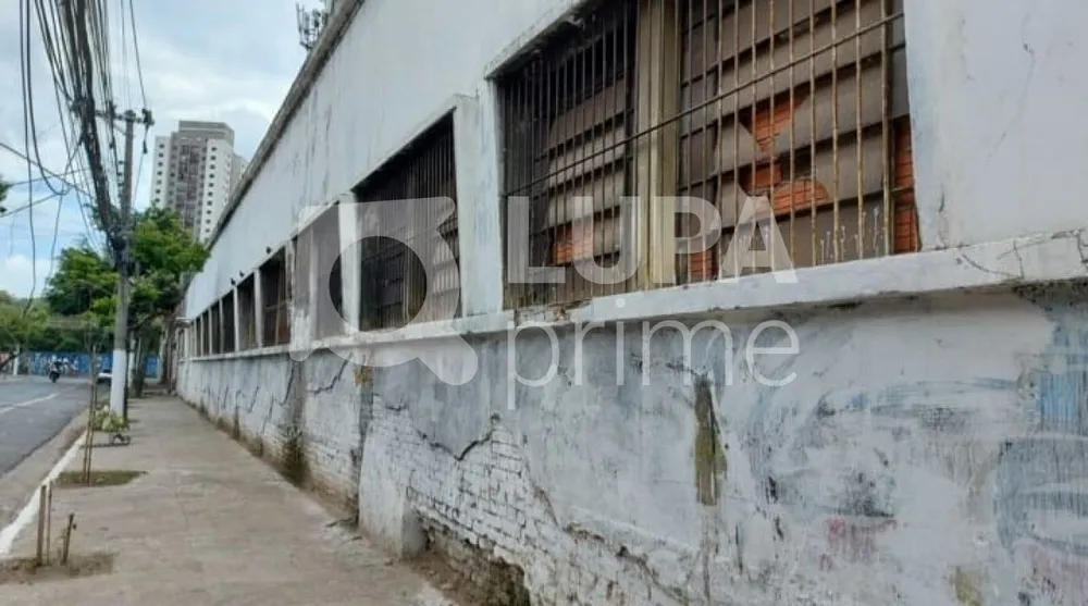 Depósito-Galpão, 1606 m² - Foto 4