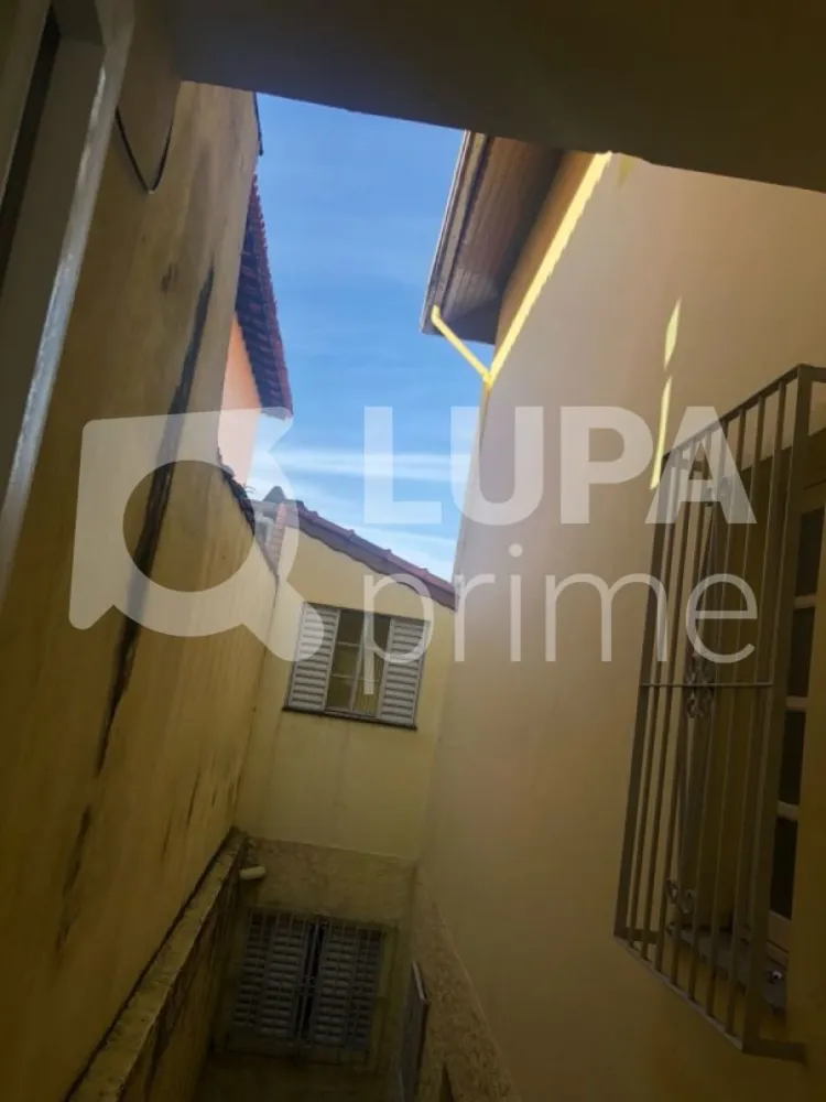 Casa, 5 quartos, 250 m² - Foto 6