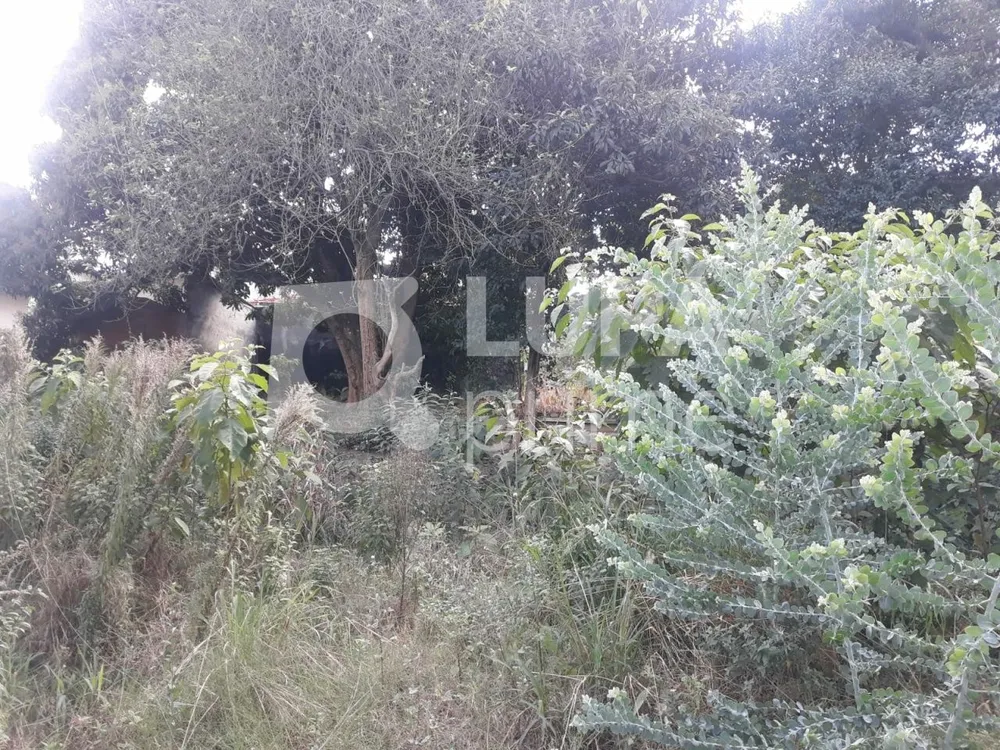 Terreno, 1100 m² - Foto 4